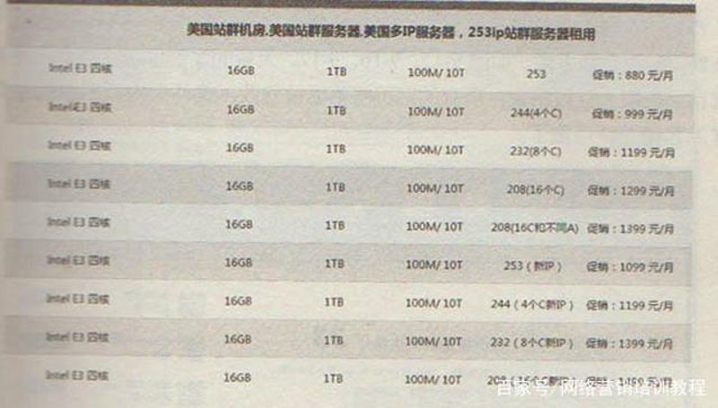 站群程序市场发展趋势不容小觑