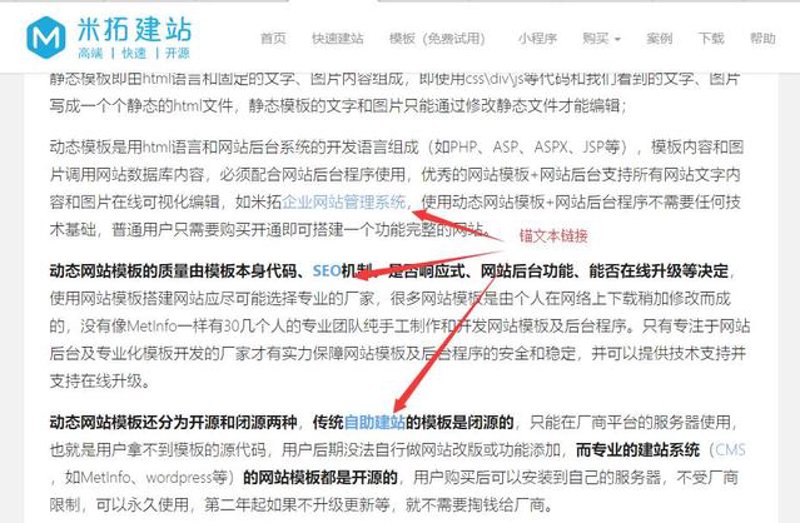 站群程序出售：企业网站优化的新引擎